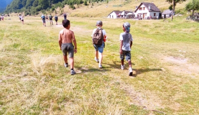  ADOZIONE DI UNO O PIU' FRATELLI